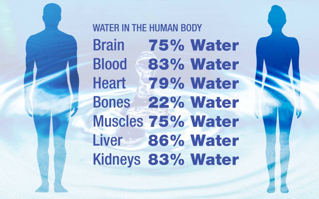 water-in-the-human-body-1-1080x675